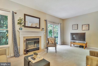 1417 Newport Spring Ct, Reston, VA 20194 - photo 6