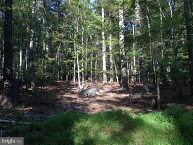 PARCEL 44 Hoffmaster Rd, 11, Sandy Hook, MD 21758 - photo 7