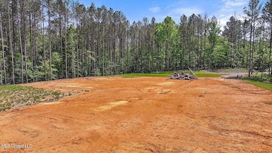 005 Pilgrim Rest Dr, Brandon, MS 39042 - photo 6