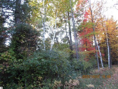 2270 Dobler Rd, Sterling, MI 48659 - photo 6