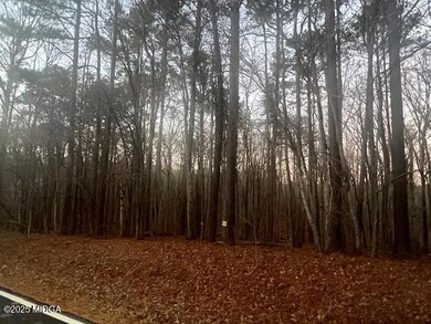 127 Long Shoals Dr, Eatonton, GA 31024 - photo 3