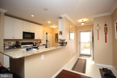 43114 Watercrest Square unit 102, Chantilly, VA 20152 - photo 7