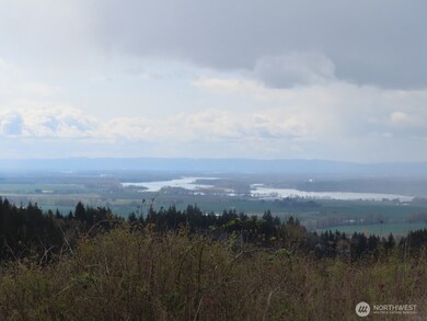 903 Confer Rd, Kalama, WA 98625 - photo 4