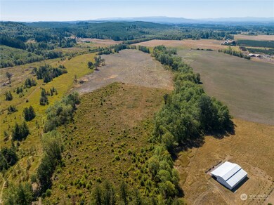 0 3 Maw Rd, Toledo, WA 98591 - photo 4