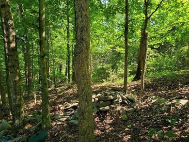 3176 Dixie Bend Rd, Burnside, KY 42519 - photo 6