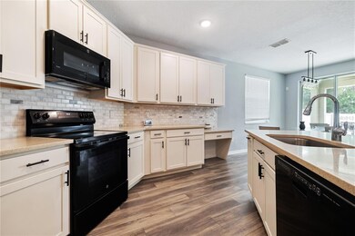 16720 Mooner Plank Cir, Wimauma, FL 33598 - photo 5