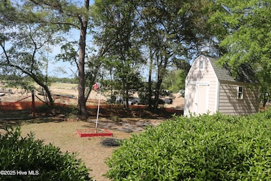 Back Yard (1)