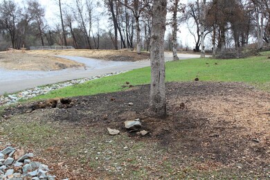 Side Yard