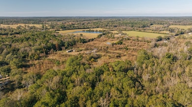 648 Rose Hill Rd, Timpson, TX 75975 - photo 6