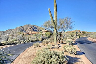 Lot 114 and Views 1