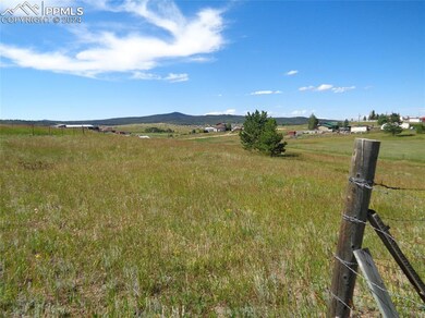 33 Grandview Cir, Divide, CO 80814 - photo 6