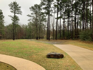 499 Deer Pond Rd, Lufkin, TX 75904 - photo 3