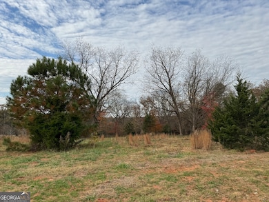 3439 TRACT 6 Providence Church Rd, Hartwell, GA 30643 - photo 3