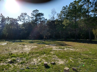 104 Plum front of lot