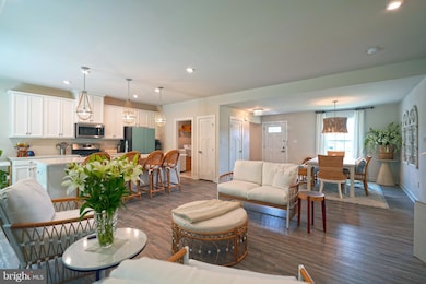 21533 Capitan Loop, Harbeson, DE 19951 - photo 7