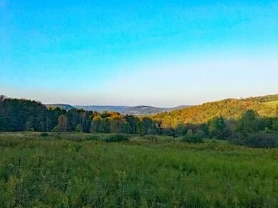 Town Line Rd, McGraw, NY 13101 - photo 6