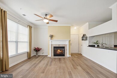 19605 Galway Bay Cir, Germantown, MD 20874 - photo 2