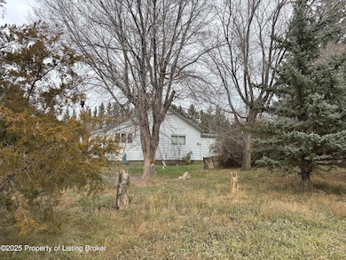 808 2nd Ave NW, Hettinger, ND 58639 - photo 4