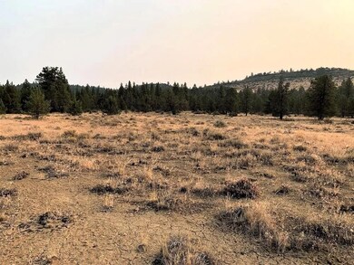 0 Crocodile unit 25654430, Bonanza, OR 97623 - photo 4