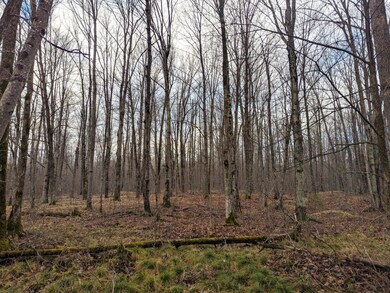 N3523 Pennington Rd, Prentice, WI 54556 - photo 6