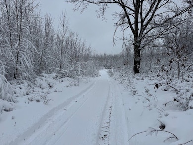 0000 Barrett Rd, Trego, WI 54888 - photo 4