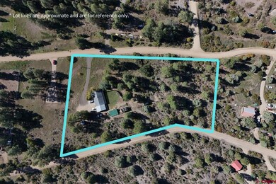 1069 Beucler Ln, Pagosa Springs, CO 81147 - photo 3