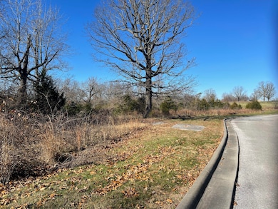 1 Paradise Rd, West Ozark Township, MO 65757 - photo 2