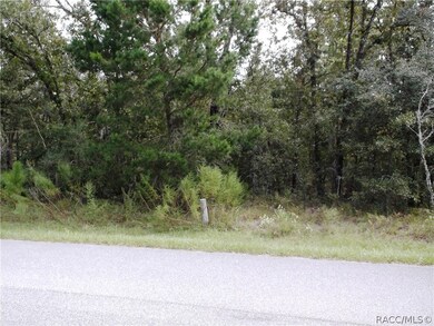 9 Livingstone Daisy Ct, Homosassa, FL 34446 - photo 4