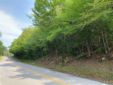 36 N Groton Rd unit lot 36, East Hebron, NH 03241 - photo 2