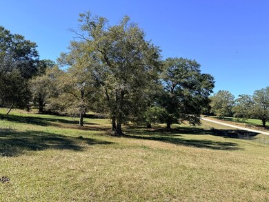 0 County Road 32, Newville, AL 36353 - photo 5