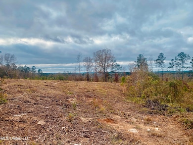 0 Saint Anne Rd, Carthage, MS 39051 - photo 2