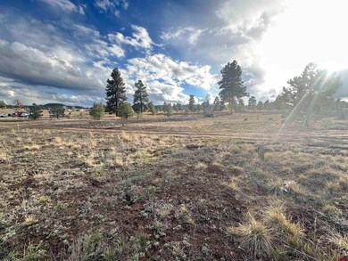 37 Arroyo Ct, Pagosa Springs, CO 81147 - photo 2