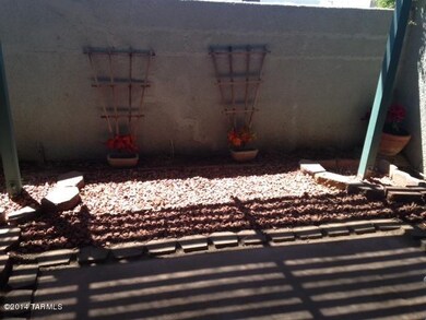backyard 2