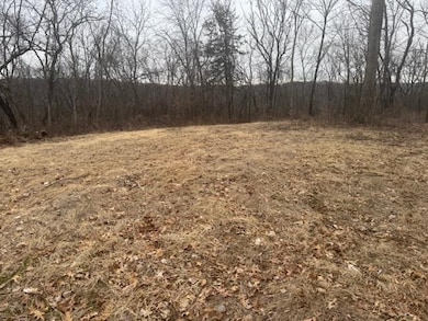 Lot 29 Hidden Meadow Ln, Blue River, WI 53518 - photo 7