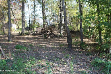 0 Abby Ln, Jacksboro, TN 37757 - photo 2