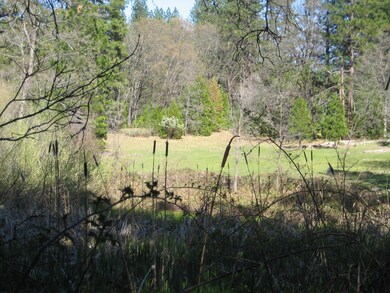 land clearing lower level 2009 039