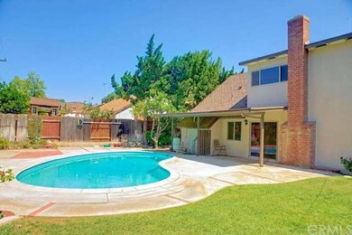 BIG BACK YARD