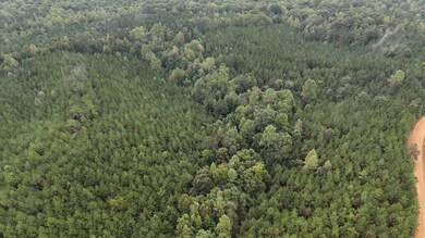 0 Scott Senter Rd, Fulton, MS 38843 - photo 5