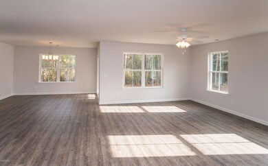 12 Teal Bluff Ct, Seabrook, SC 29940 - photo 6