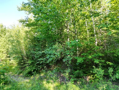 DJI_0759