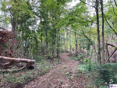 1633 Boone Hollow Rd, Battletown, KY 40104 - photo 5