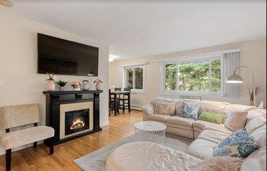 820 Seward St unit 2E, Evanston, IL 60202 - photo 5