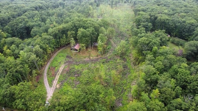 1385 N Hubbard Lake Rd, Spruce, MI 48762 - photo 3