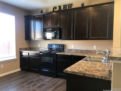 11807 Pure Silver, San Antonio, TX 78254 - photo 4