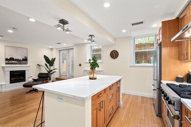 17 Worcester Square unit 1, Boston, MA 02118 - photo 6