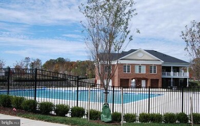 42785 Shaler St, Chantilly, VA 20152 - photo 4