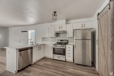Kitchen featuring appliances with stainless steel finishes, light countertops, white cabinets, and a barn door