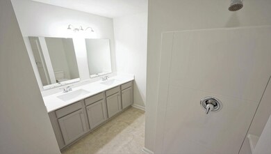 Allex master bath