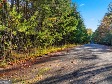 0 Autumn Ridge Drive Lot 10 & Lot 11 Dr unit 10647540, Mineral Bluff, GA 30559 - photo 2