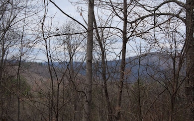 Additional View